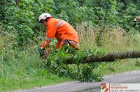 _2019-07-14 Baum über Straße_02